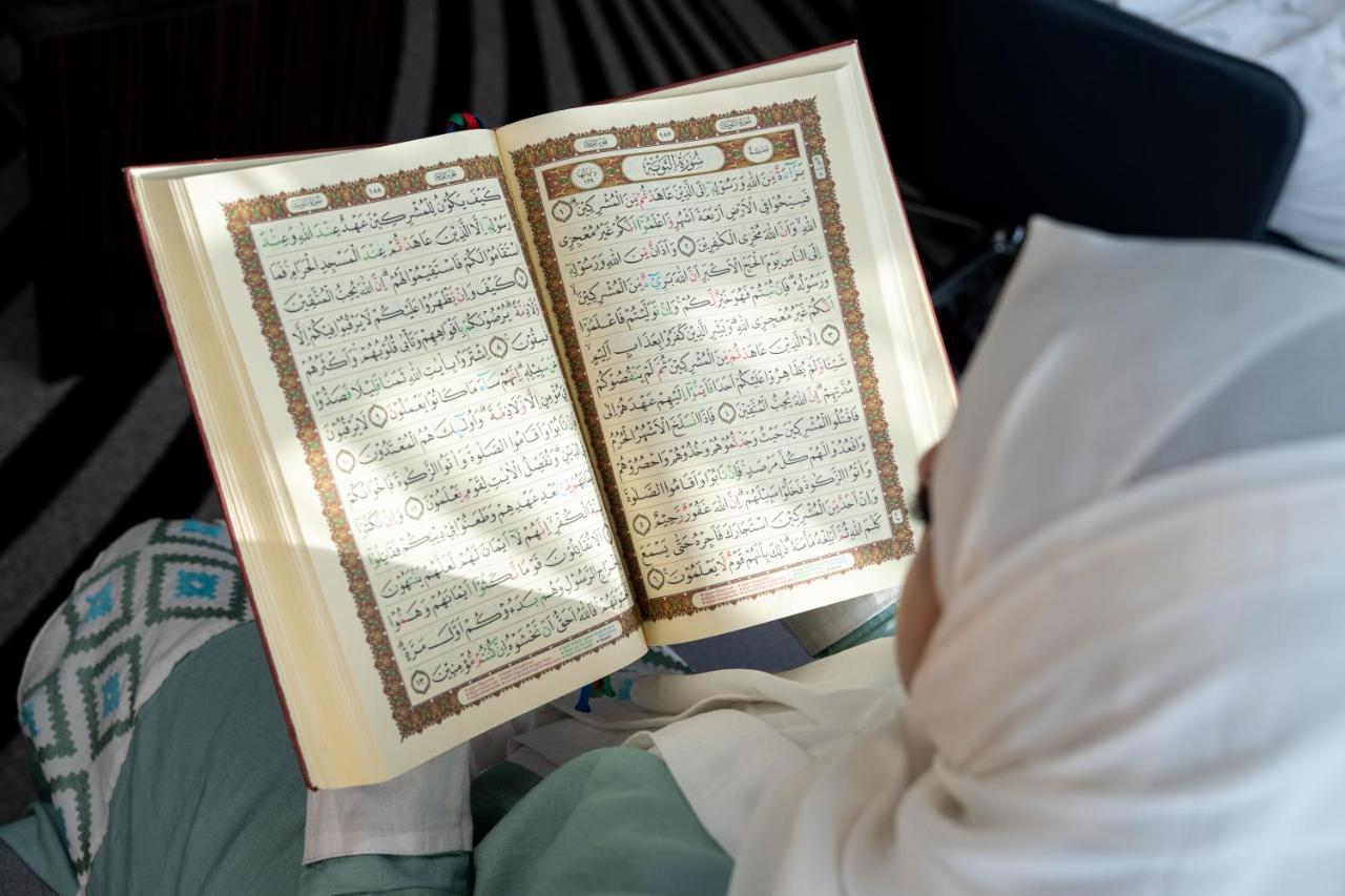نوفوتيل ذاخر سيتي 4*